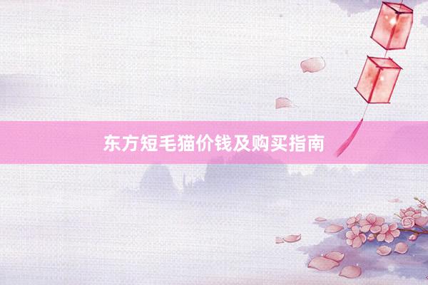 东方短毛猫价钱及购买指南