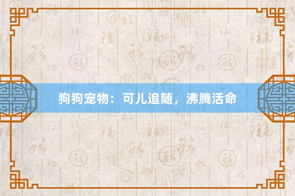 狗狗宠物:可儿追随,沸腾活命
